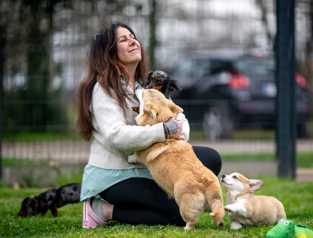 dogzone equipe passionnee